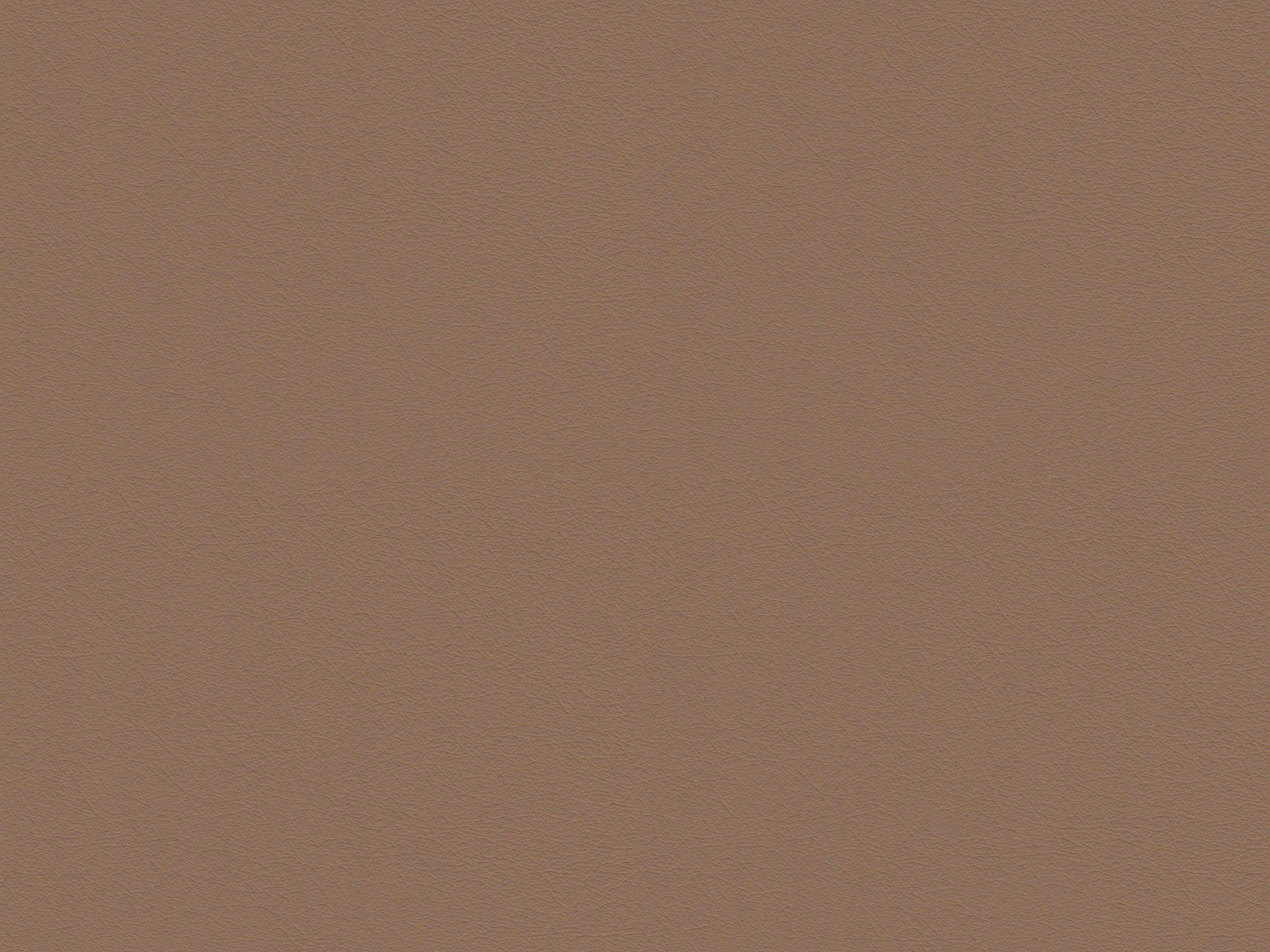 Linea - Y55