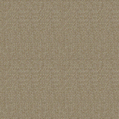 Carre - C01