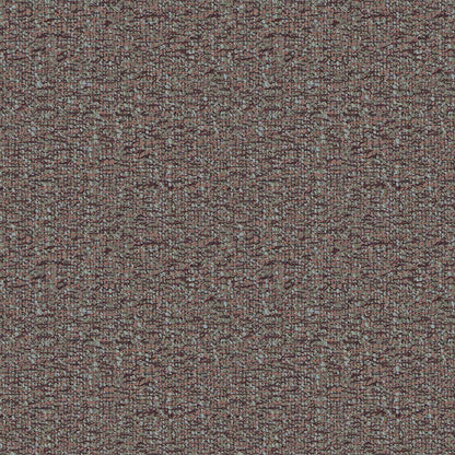 Daisy - D35