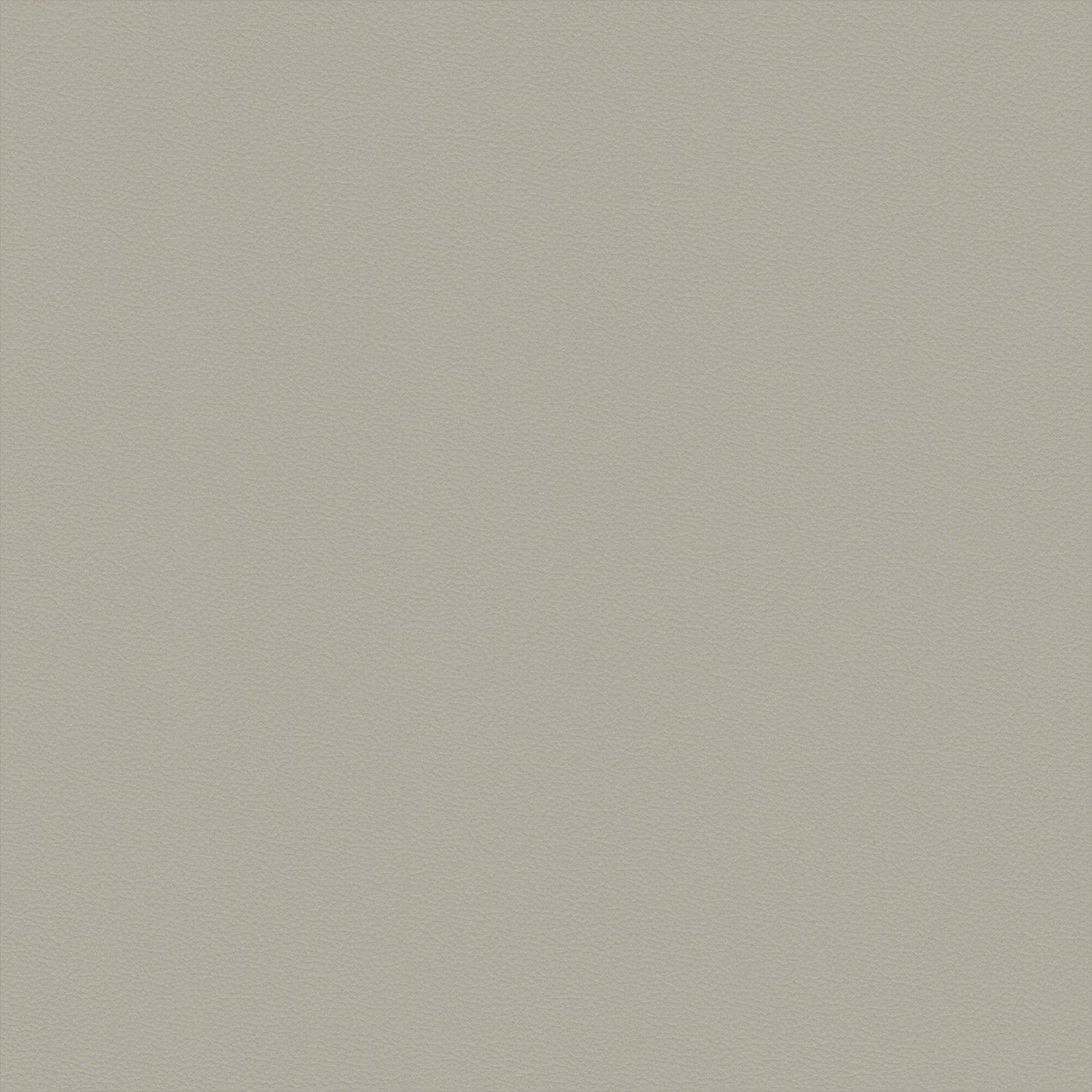 Novus - M12