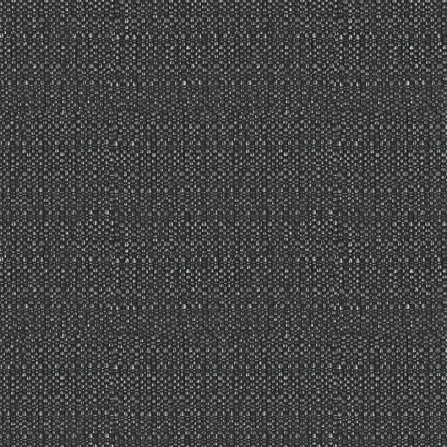 Shantay - T66