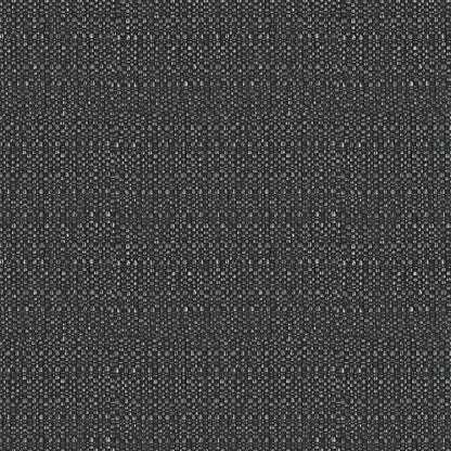 Shantay - T66