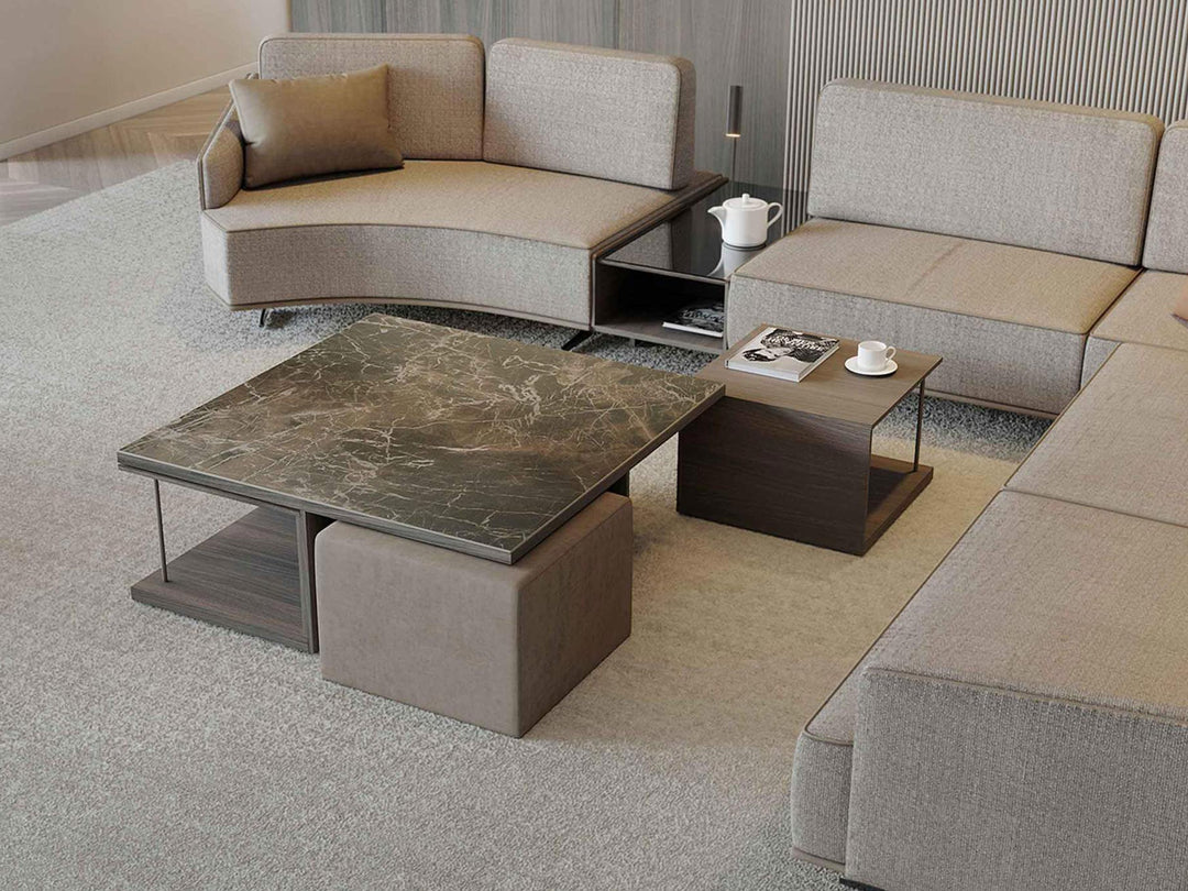 Gravid Coffee Table