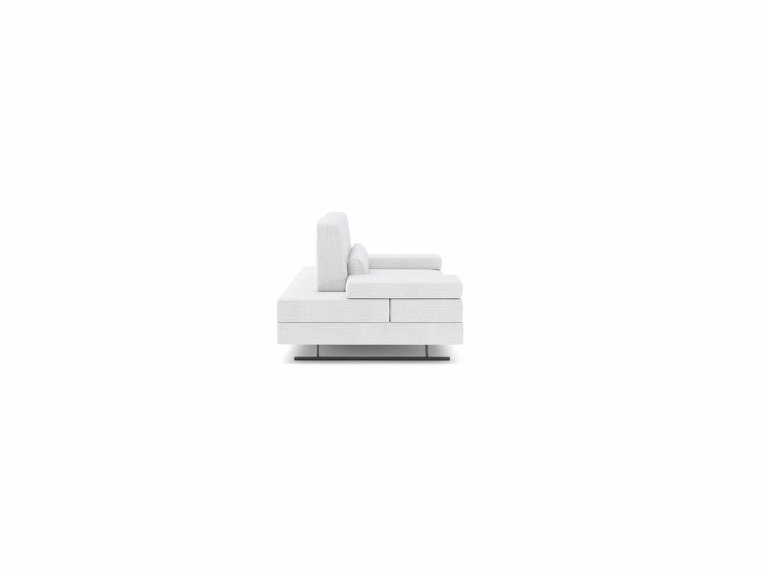 Mony Loveseat Adjustable Modern Sofa